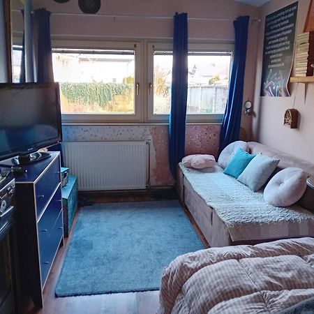 Art Room With Outdoor Living Любляна Екстер'єр фото