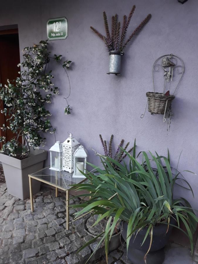 Art Room With Outdoor Living Любляна Екстер'єр фото